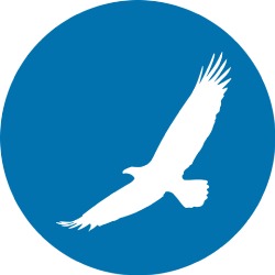 iiTranslation - South African Languages