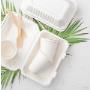 Sugarcane food containers