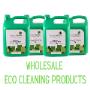 Wholesale Eco Cleaning Products
