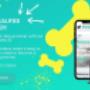 Dog grooming online