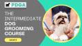 Intermediate Dog Groomer