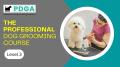 Professional Dog Grooming