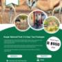 Kruger National Park Packaged Tours