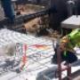 Safety Lines