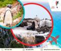 CAPE-PENINSULA