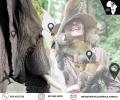 ELEPHANT & MONKEY SANCTUARY (FULL DAY TOUR)