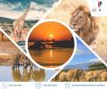 PILANESBERG NATIONAL PARK
