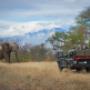 Field Guide School