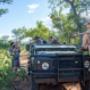 Field Guide Training