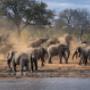 Safari Guide Training