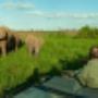 Wildlife and Safari Park