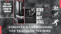 Stay Fit Not Still