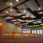 Panel ceilings