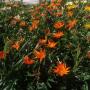 # 13