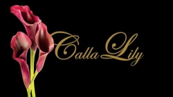 Calla Lily