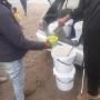 nrpd feeding