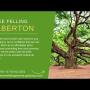 Tree Felling Alberton