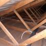 Ceiling