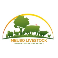 Mbuso Livestock