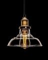 Clear Glass Pendant Light