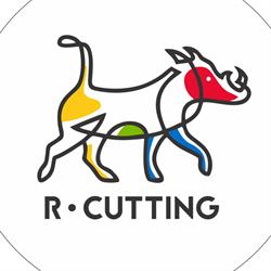 R Cutting Solutions