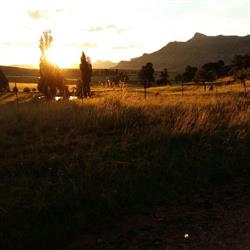 Sunnyside Guest Farm