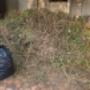 Rubble Removals Benoni