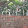 Wall Spikes