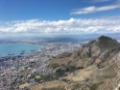 Cape point tour