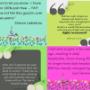 BSR Body stress release