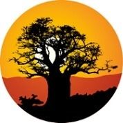 The Baobab Student Accommodation