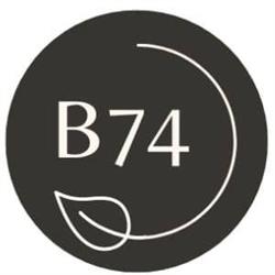 B74