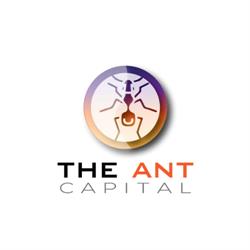 The Ant Capital