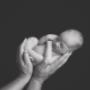 Preoria newborn photographer