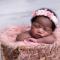 newborn-photo-shoot