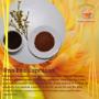 Rooibos Espresso