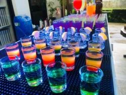 Liqui Gasm - Mobile Bar Services