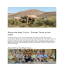 Company profile