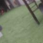 Artificial Grass Paving