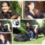 Trained dogs