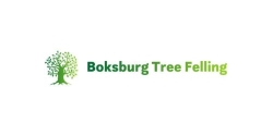 Boksburg Tree Felling