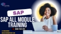 SAP Training and Certification in South Africa: Unlock Your Career Potential