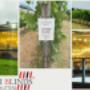 Cape Winelands and our blinds