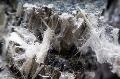 Asbestos-lagging