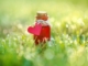 Effective love korobela love potion