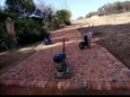 Paving And Driveways Done By ProMax Construction