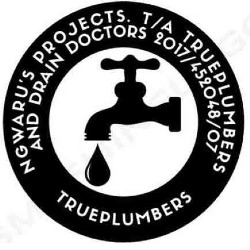 Ngwaru's Projects trading as TruePlumbers and drain Doctors