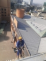 Roof Maintenance And Cleaning