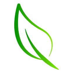 Vaginal Rejuvenation & Tightening