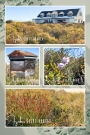 Fynbos Splendor